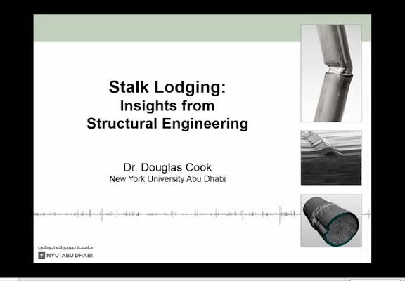 Stalk Lodging: Insights from Structural Engineering