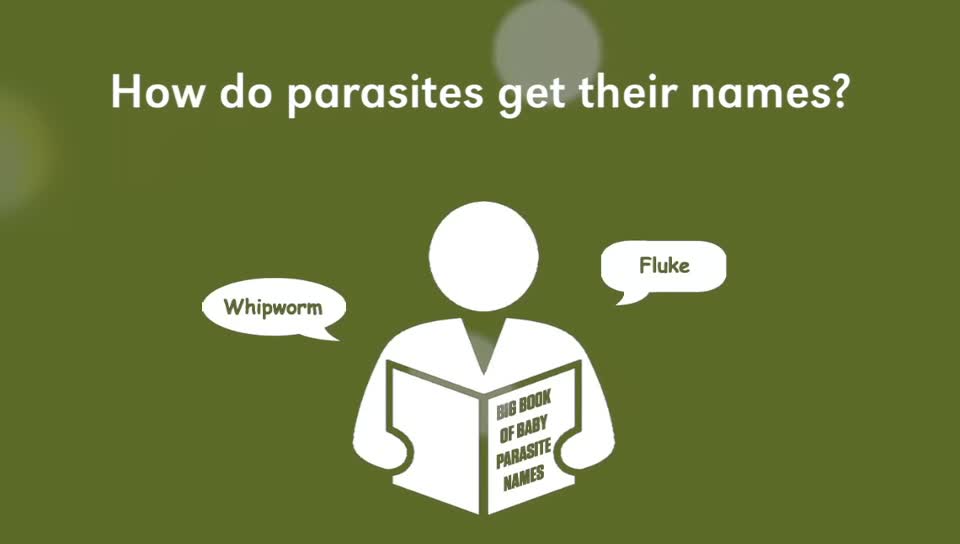 Guts & Glory: Parasite Names