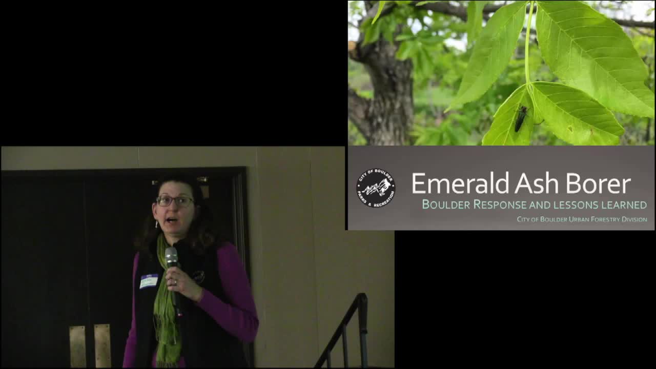 Emerald Ash Borer Management in Boulder, CO: four years after the find