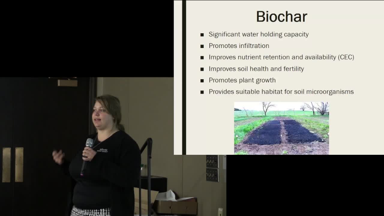 Processed Urban Wood Options and Biochar Opportunities