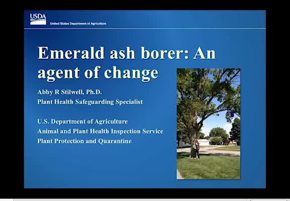 Emerald ash borer: An agent of change