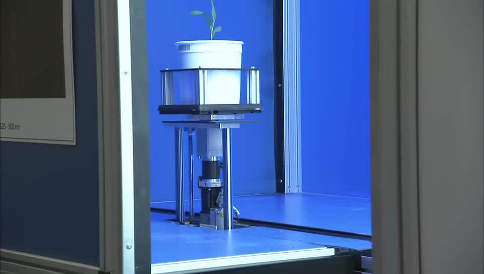 Nebraska Plant Phenotyping:  Innovation Campus Greenhouse