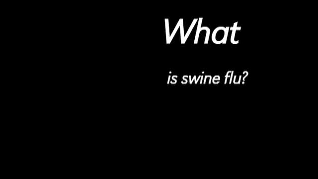 N The Know - What Is Swine Flu?