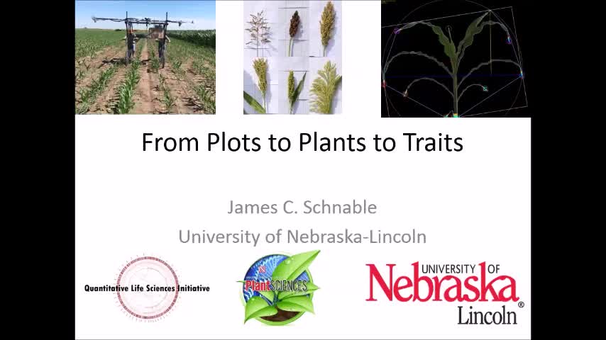 "High Throughput Phenotyping of nand Sorghum: From Plots to Plants to Traits"