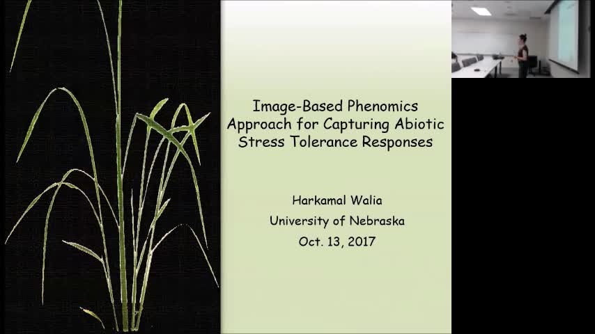 "Image-Based Phenomics Approach for Capturing Abiotic Stress Responses"