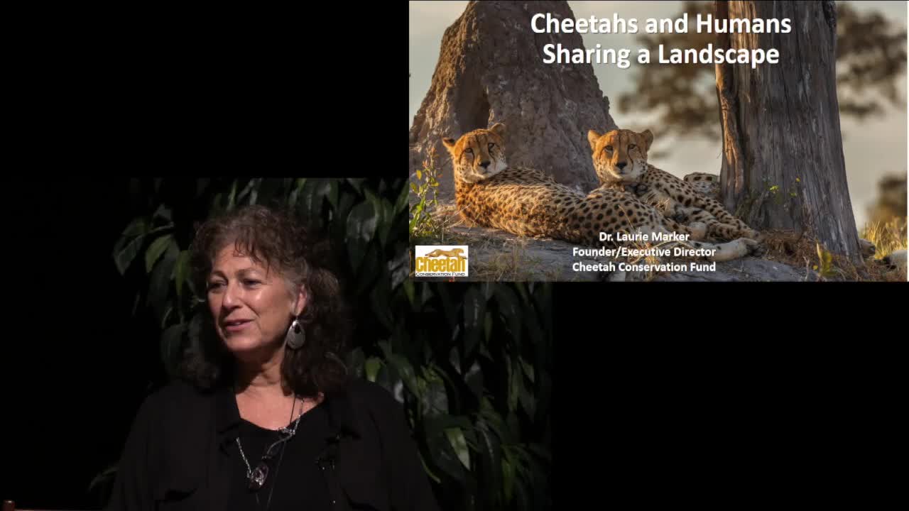 Dr. Laurie Marker - Cheetahs and Humans, Sharing a Landscape