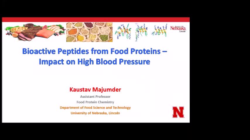"Bioactive Peptides from Food Proteins-Impact on High Blood Pressure"