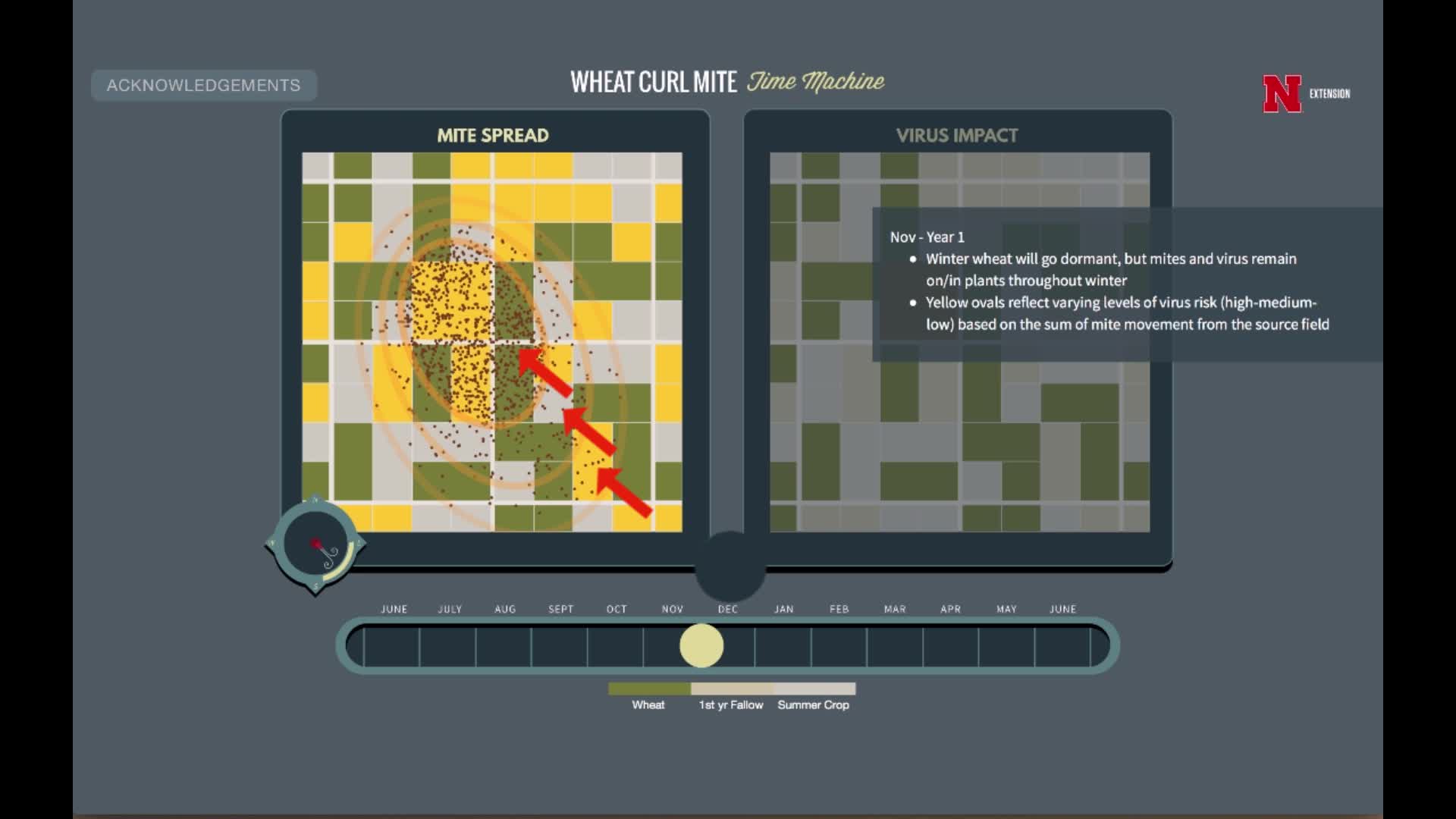 Wheat Curl Mite Time Machine: an animation demonstrating mite movement and virus impact 
