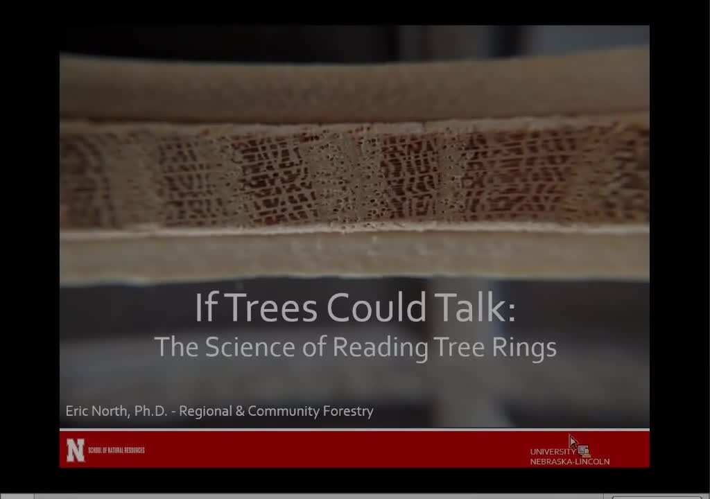 If trees could talk: The science of reading tree rings
