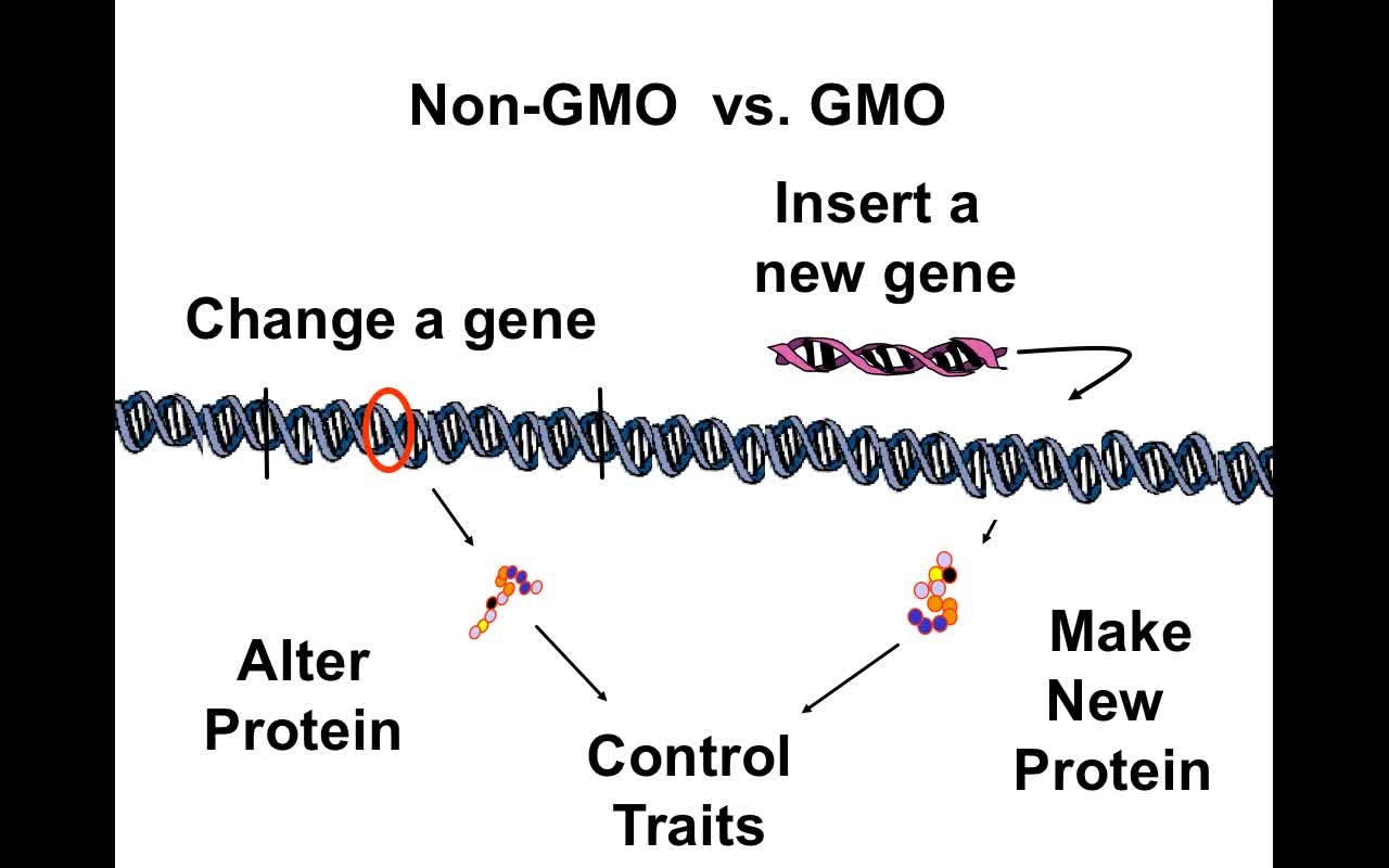 FCGMOs GMOs vs non-GMOs