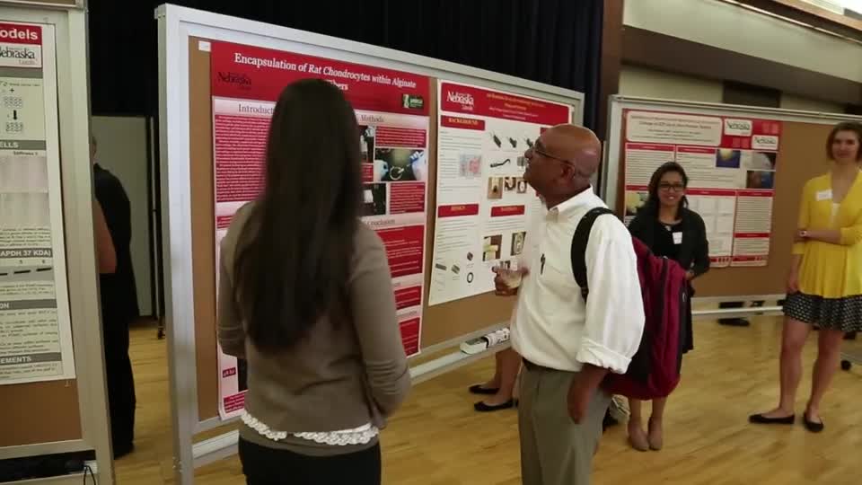 What is a Research Fair?