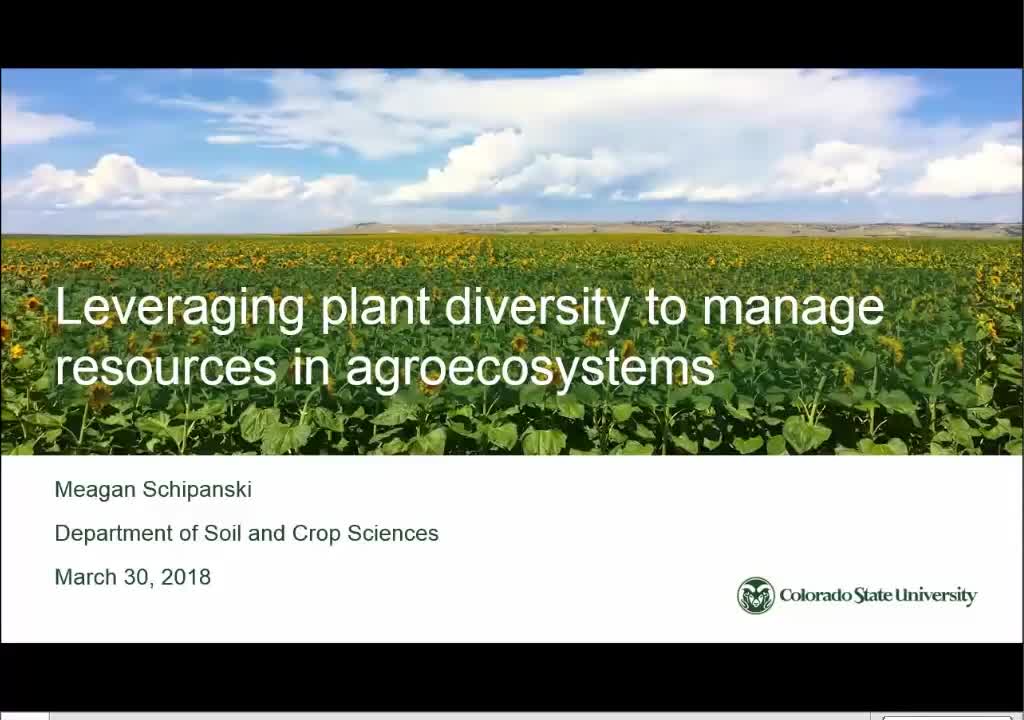 Leveraging plant diversity to manage soil water, carbon, and nitrogen in agricultural systems 