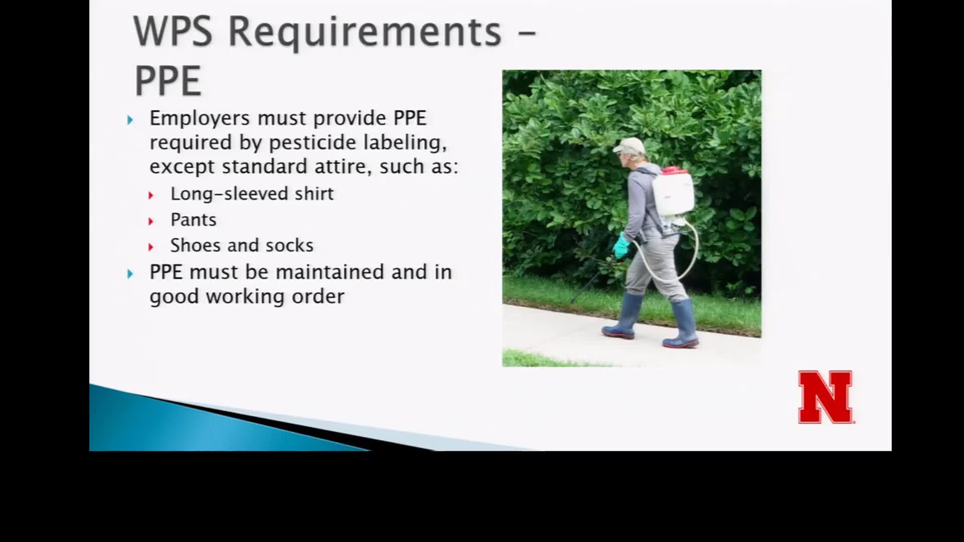 Worker Protection Standard Requirements for PPE