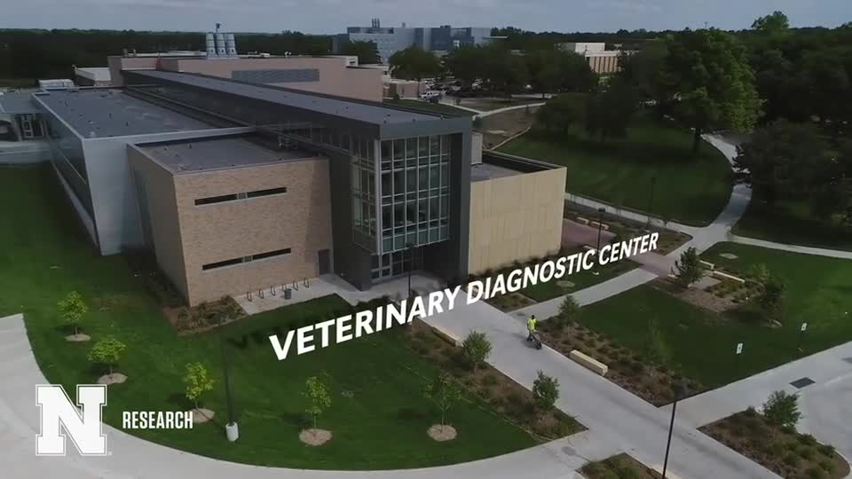 Veterinary Diagnostic Center