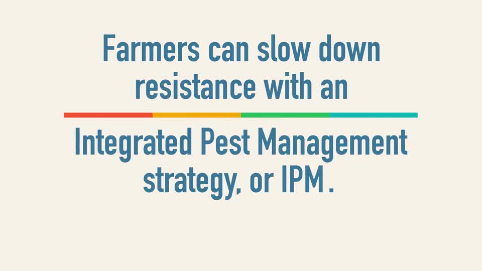 How to Manage Insect Resistance in Bt Crops