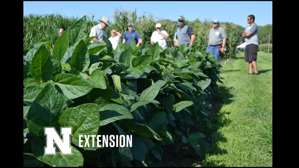 Nebraska Extension Crop Management Training - General Info