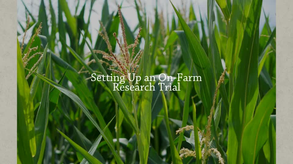 Setting Up an On-Farm Research Trial